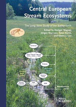 Central European Stream Ecosystems – The Long Term Study of the Breitenbach