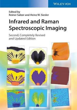 Infrared and Raman Spectroscopic Imaging 2e