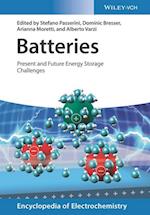 Batteries – Present and Future Energy Storage Challenges