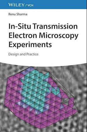 In-Situ Transmission Electron Microscopy Experiments