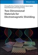 Two–Dimensional Materials for Electromagnetic Shielding