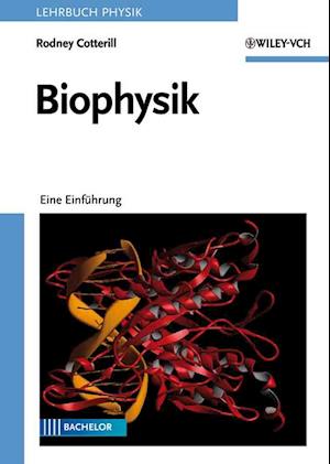 Biophysik – Eine Einführung