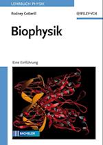 Biophysik – Eine Einführung