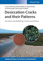 Desiccation Cracks and Their Patterns