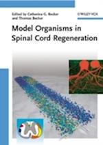 Model Organisms in Spinal Cord Regeneration