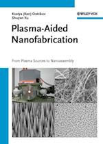 Plasma-Aided Nanofabrication