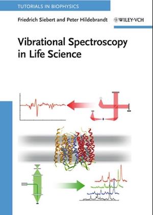 Vibrational Spectroscopy in Life Science