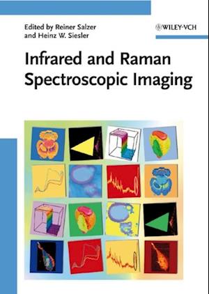 Infrared and Raman Spectroscopic Imaging