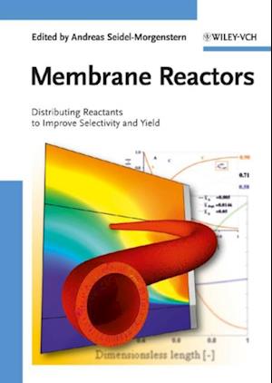 Membrane Reactors