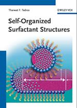 Self-Organized Surfactant Structures