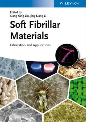 Soft Fibrillar Materials