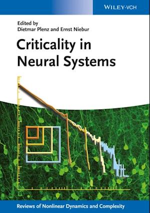 Criticality in Neural Systems