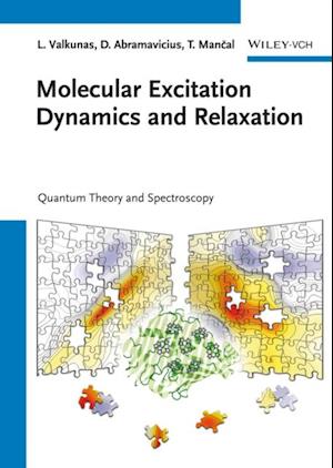 Molecular Excitation Dynamics and Relaxation