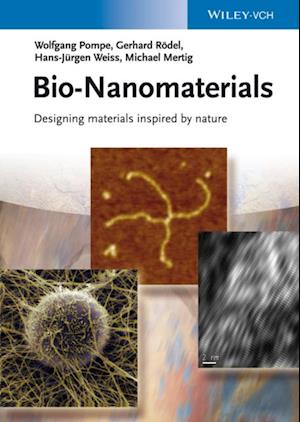 Bio-Nanomaterials