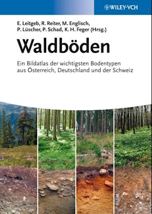 Waldböden