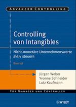 Controlling von Intangibles