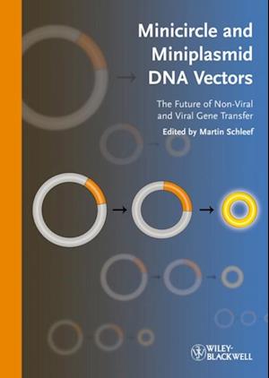 Minicircle and Miniplasmid DNA Vectors