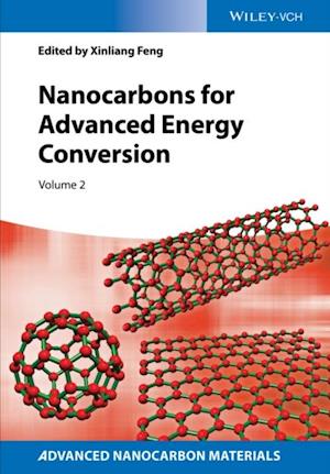 Nanocarbons for Advanced Energy Storage