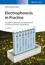 Electrophoresis in Practice
