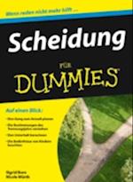 Scheidung fur Dummies