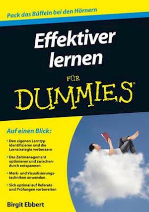 Effektiver lernen fur Dummies