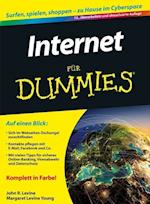 Internet für Dummies 13e