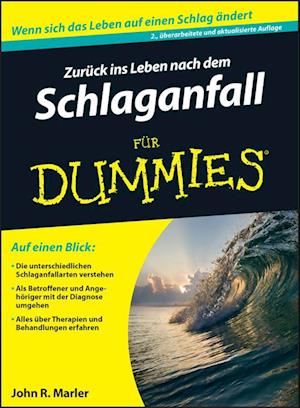 Zuruck ins Leben nach dem Schlaganfall fur Dummies