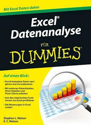 Excel Datenanalyse fur Dummies