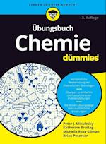 UEbungsbuch Chemie fur Dummies