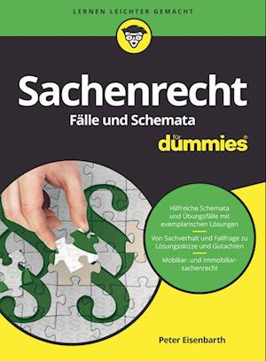 Sachenrecht Falle und Schemata fur Dummies