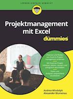 Projektmanagement mit Excel für Dummies