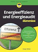 Energieeffizienz, Energieaudit und Nachhaltigkeit für Dummies
