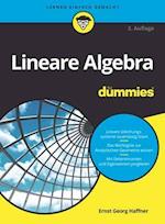 Lineare Algebra für Dummies 2e