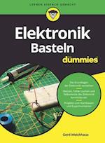 Elektronik–Basteln für Dummies