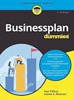 Businessplan für Dummies 6e