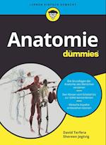 Anatomie fur Dummies