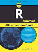 R Alles-in-einem-Band fur Dummies