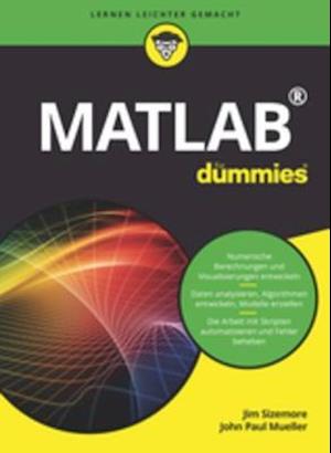 Matlab für Dummies