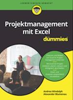 Projektmanagement mit Excel für Dummies