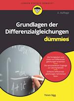 Grundlagen der Differenzialgleichungen für Dummies