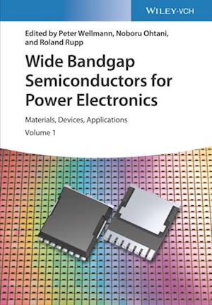 Wide Bandgap Semiconductors for Power Electronics