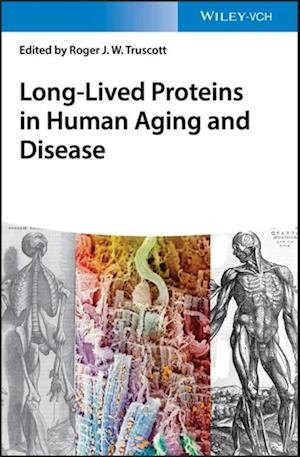 Long-lived Proteins in Human Aging and Disease