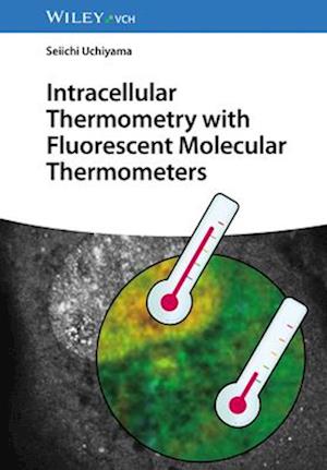 Intracellular Thermometry with Fluorescent Molecular Thermometers