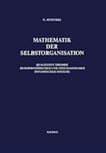 Mathematik Der Selbstorganisation