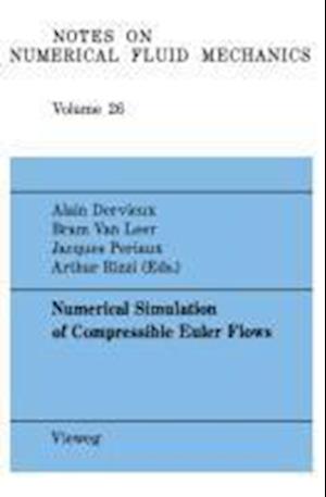 Numerical Simulation of Compressible Euler Flows