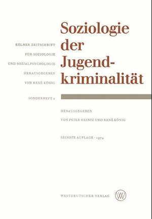 Soziologie Der Jugendkriminalität