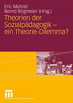 Theorien der Sozialpädagogik - ein Theorie-Dilemma?