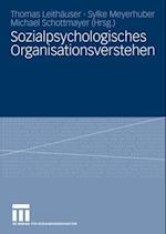 Sozialpsychologisches Organisationsverstehen