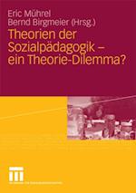 Theorien der Sozialpädagogik - ein Theorie-Dilemma?