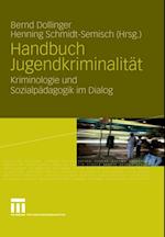 Handbuch Jugendkriminalität